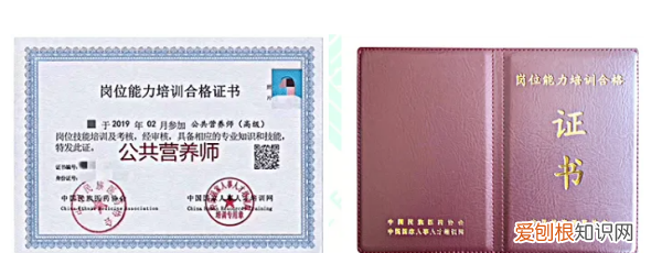 初级营养师报考条件,初级营养师证怎么考有什么条件