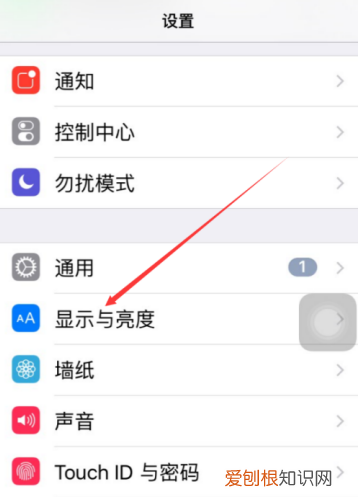苹果手机的字体大小要怎么设置