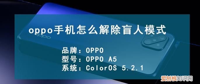 oppo怎样强制取消盲人模式