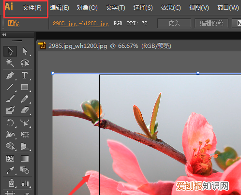 ai要怎样才可以裁剪,ai怎么把多余的部分裁剪掉图片