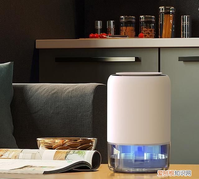 下雨天屋内潮湿严重,有什么除湿的好方法吗