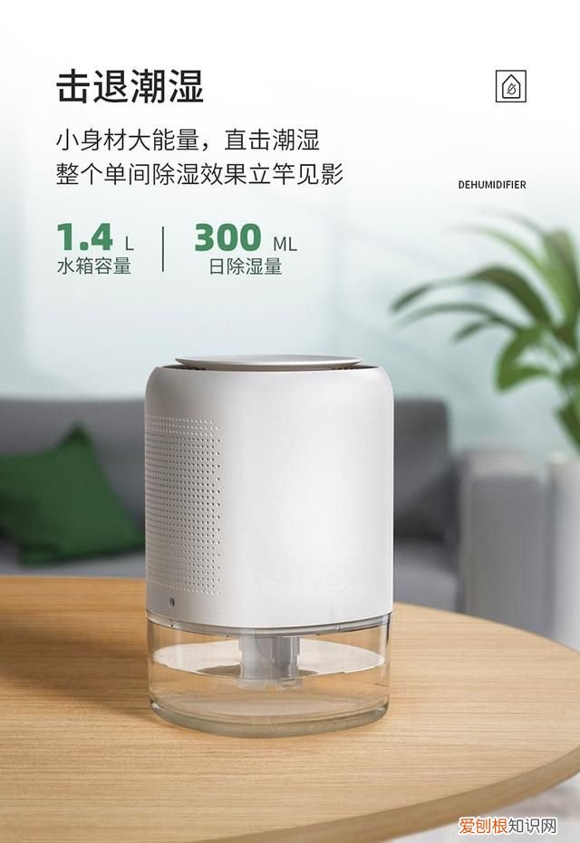 下雨天屋内潮湿严重,有什么除湿的好方法吗