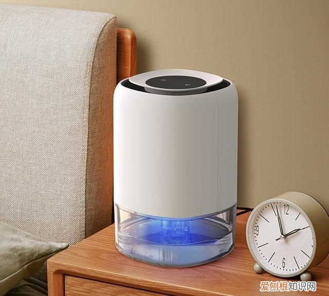 下雨天屋内潮湿严重,有什么除湿的好方法吗