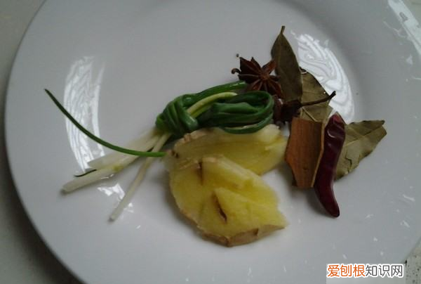 教你怎么做炖鸡胗,家常炖鸡胗的做法大全