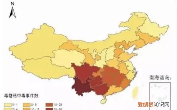 野生菌吃了对身体有什么好处