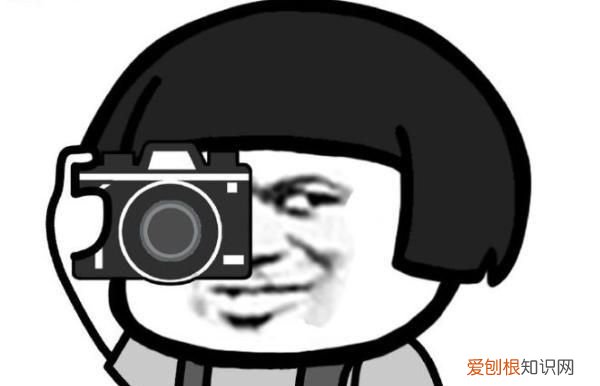 野生菌吃了对身体有什么好处