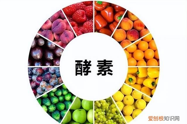 酵素减肥的真实感受 酵素减肥真的有用吗知乎