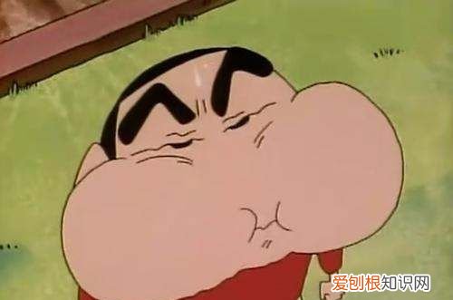 野原新之助是什么东西,野原新之助小新的名字英文是什么