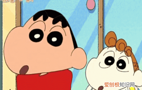 野原新之助是什么东西,野原新之助小新的名字英文是什么