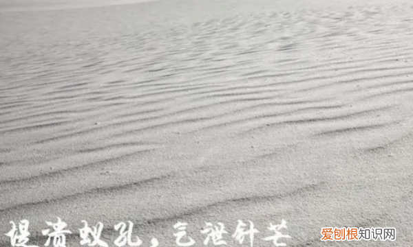 溃堤蚁孔 气泄针芒出自哪,堤溃蚁孔,气泄针芒出自哪里