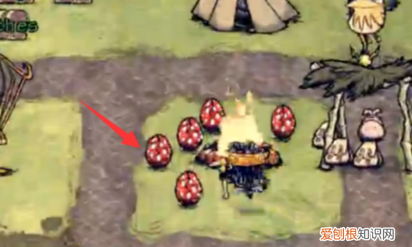 饥荒高脚鸟怎么下蛋,饥荒高脚鸟蛋怎么孵化