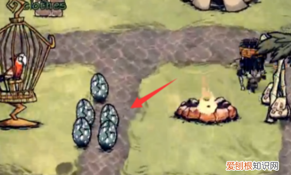 饥荒高脚鸟怎么下蛋,饥荒高脚鸟蛋怎么孵化
