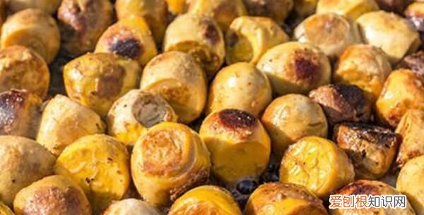 实蛋的营养和煮鸡蛋一样吗 实蛋做法比例水放多少