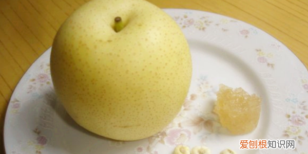 川贝母蒸梨的做法，一个梨子放多少克贝母蒸