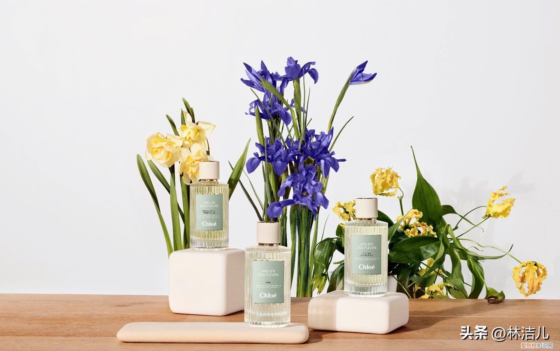 香水新品测评,Dior教你闻香识女人