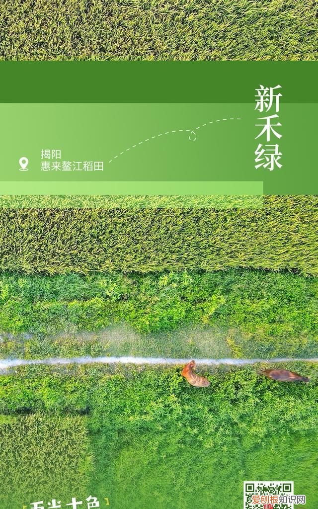 周末游广东出发