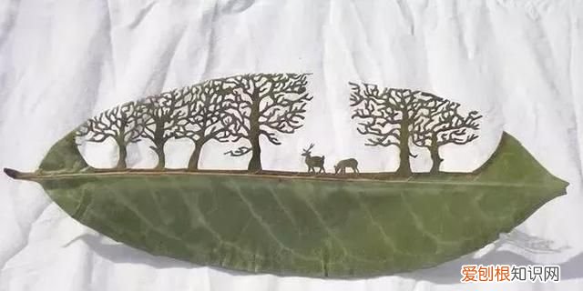 中国十大国粹,除了京剧你知道另外9个是什么吗