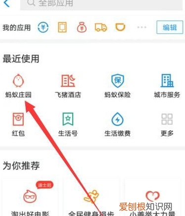 支付宝蚂蚁庄园今日答题,蚂蚁庄园咋得才可以捐赠爱心