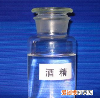 怎么清洗蛋糕模，如何清洗蛋糕模具顽固