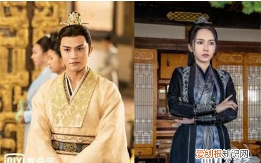 公子倾城是谁杀了林家,公子倾城睿王为什么杀林家父母