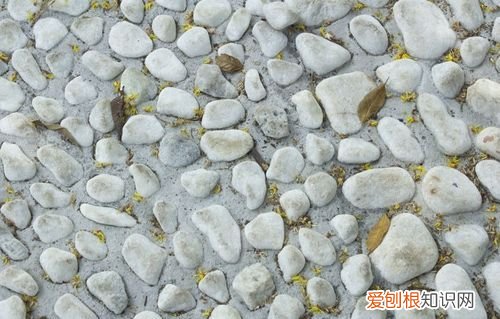 石头怎样的落在地上,石头落在地上扩句怎么写