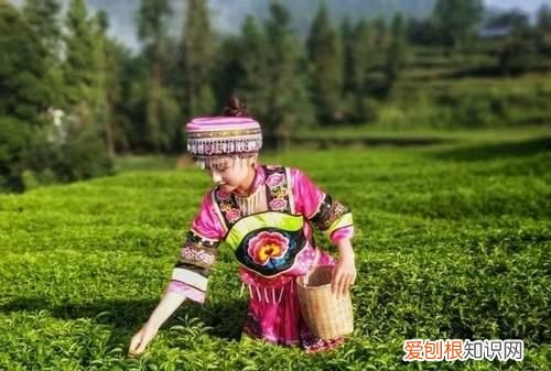 可以随便喊别人幺妹吗,重庆男生喊女生幺妹儿是啥意思