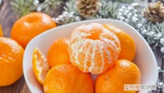 猫可以吃枇杷,川贝枇杷糖浆猫咪能喝吗