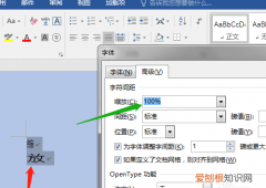 word字符缩放在哪里