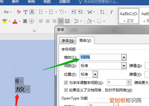 word字符缩放在哪里