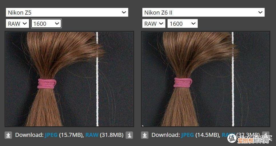 尼康Z5和尼康Z6 的区别