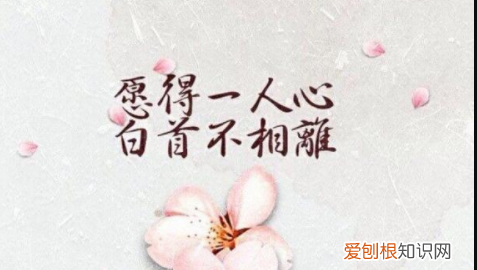 白首不相离上一句，愿得一人心,白首不相离