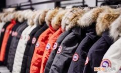 加拿大鹅怎么洗，如何清洗和保养加拿大鹅