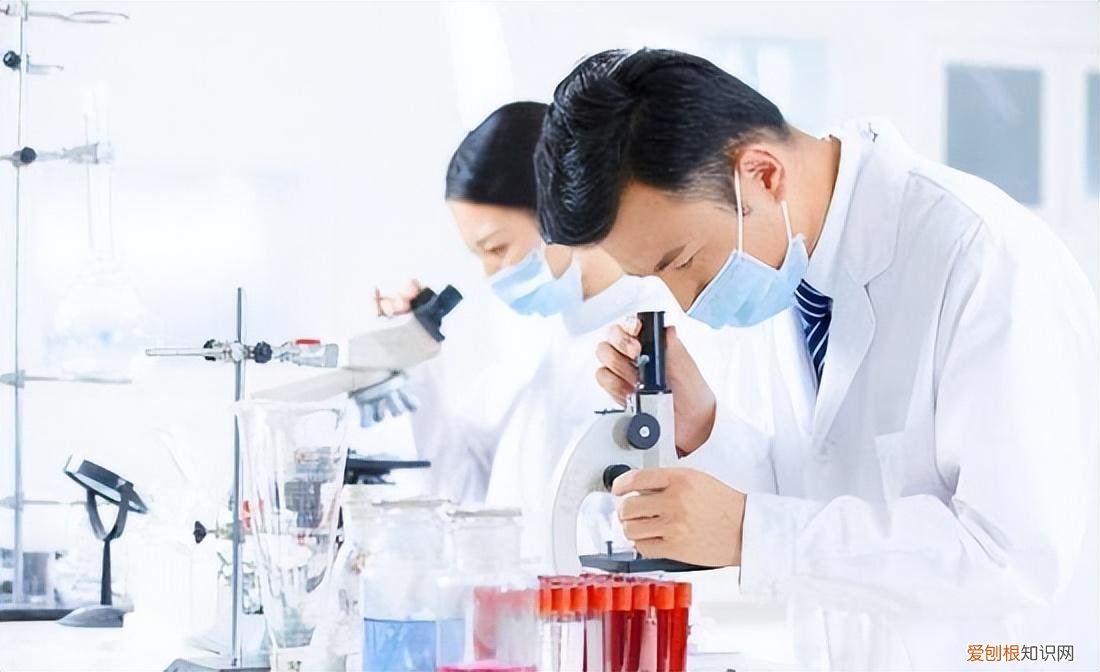 I Do钻戒宣布破产？