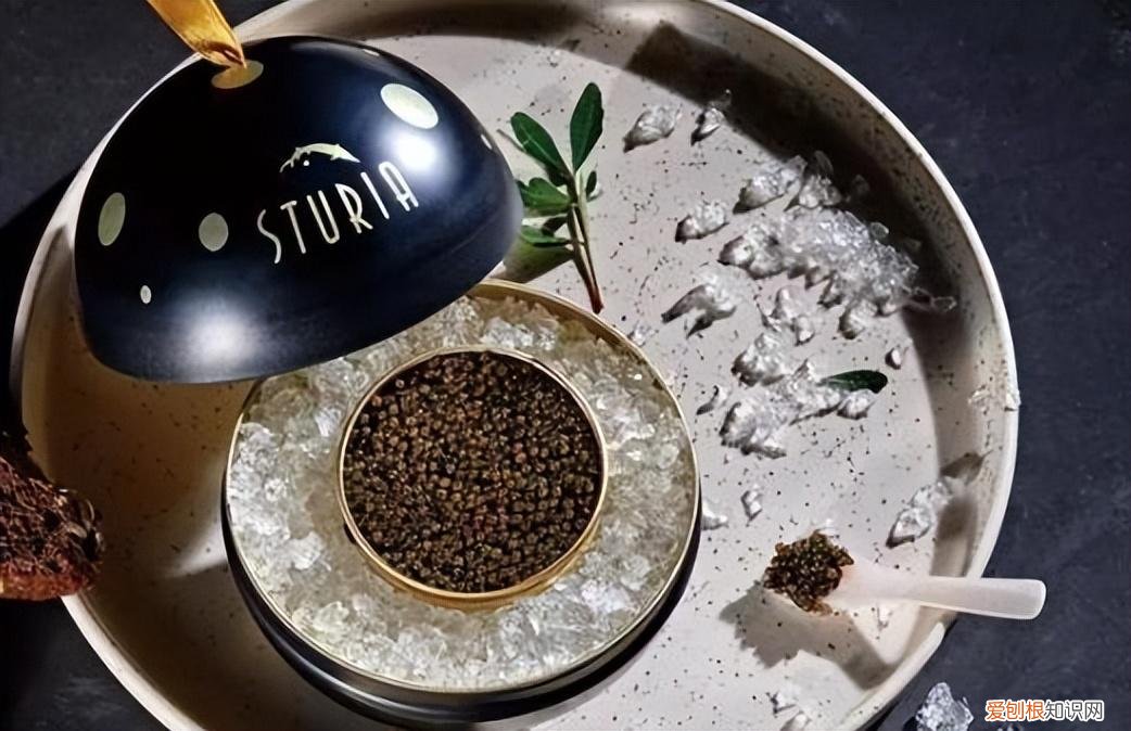 I Do钻戒宣布破产？