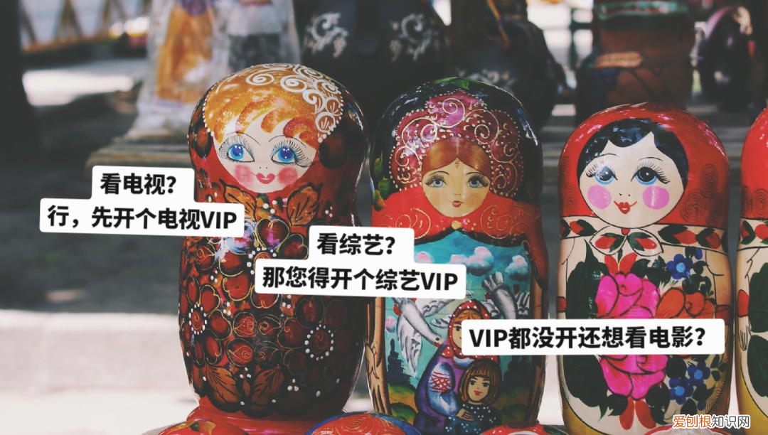 智能电视会员年费近千元