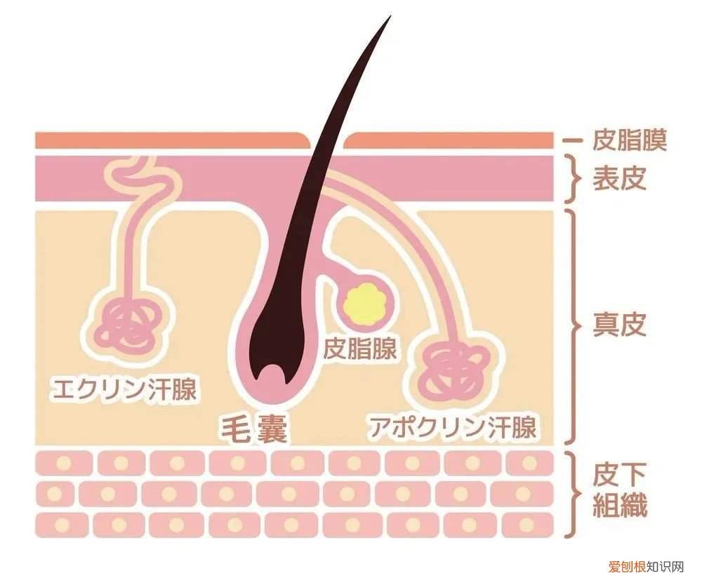 爆火脱毛膏真人实测！