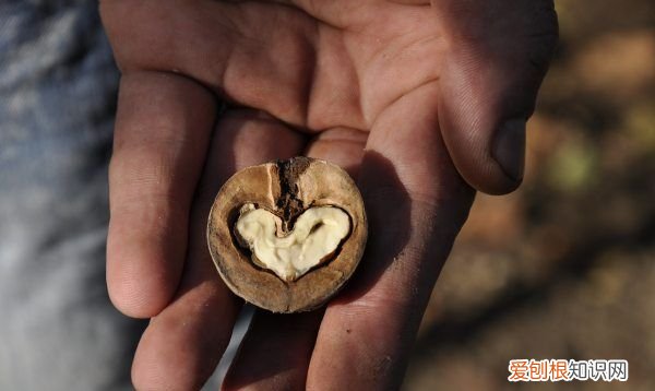 在感情中太卑微了怎么办，如何让女朋友获得归属感恋爱手册