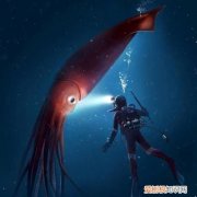 海洋里最大的生物是什么，海洋最大的生物是什么生物