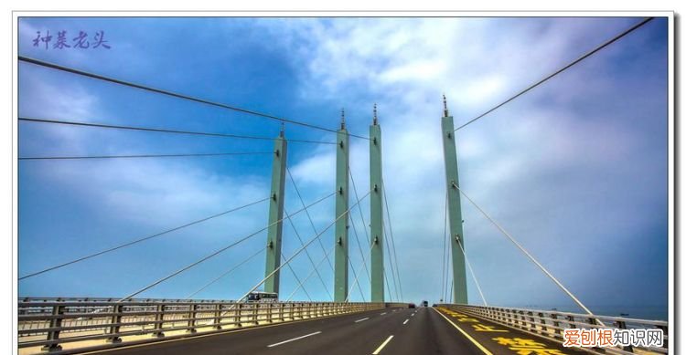 胶州湾跨海大桥有多长