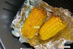 空气炸锅可以放锡纸烤吗，空气炸锅可以用铁盘代替锡纸