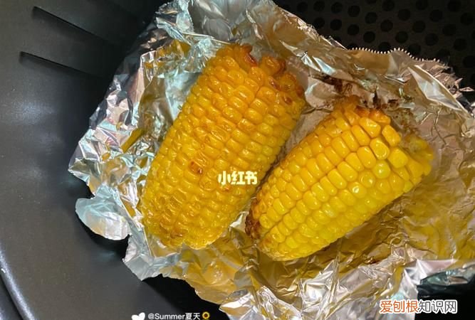 空气炸锅可以放锡纸烤吗，空气炸锅可以用铁盘代替锡纸