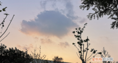 醒亦念卿梦亦念卿下一句