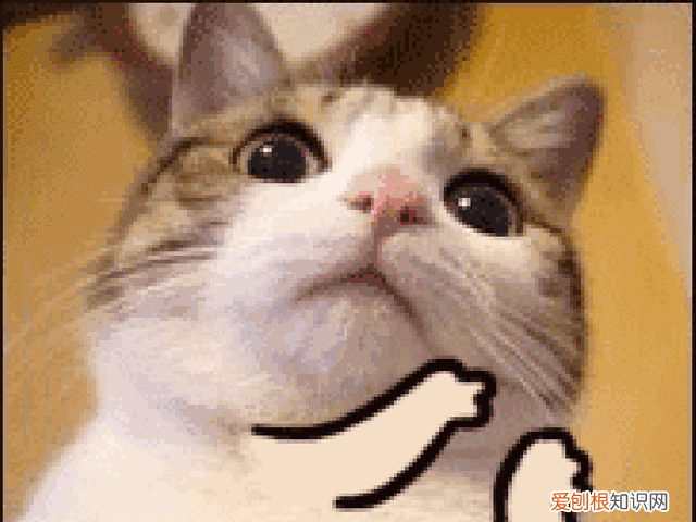 芒果tv汪汪队立大功3,汪汪队立大功第三季在线免费观看