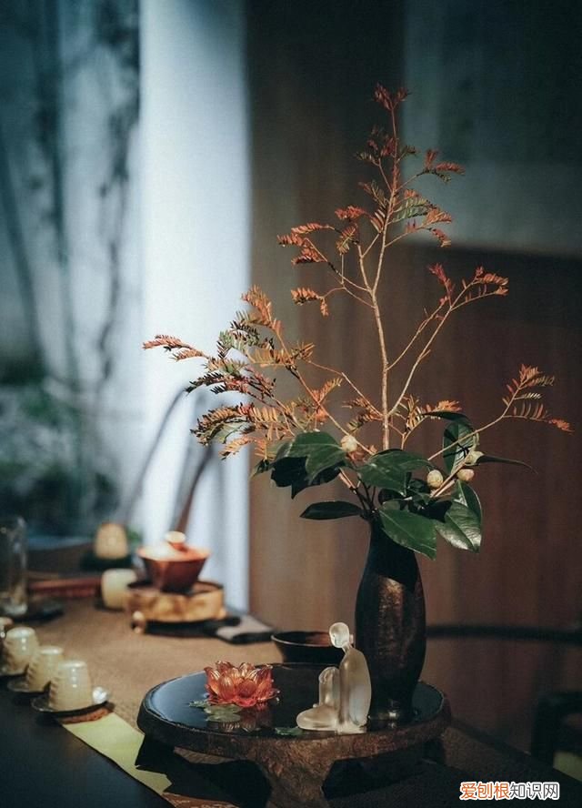 一切淡然深度美文 美文欣赏释然是一种心境