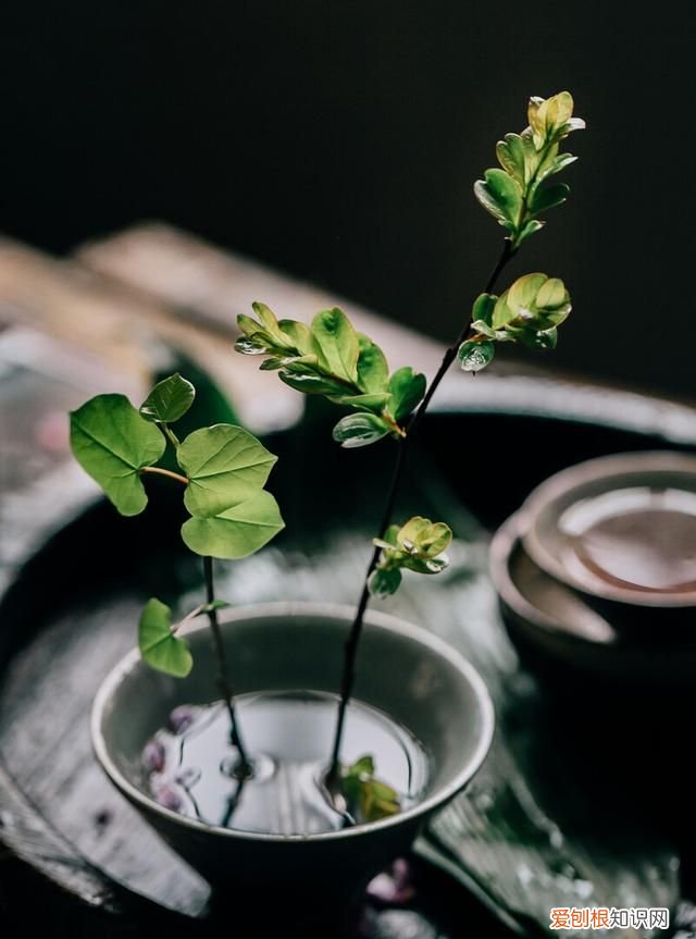 一切淡然深度美文 美文欣赏释然是一种心境