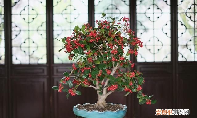 一切淡然深度美文 美文欣赏释然是一种心境