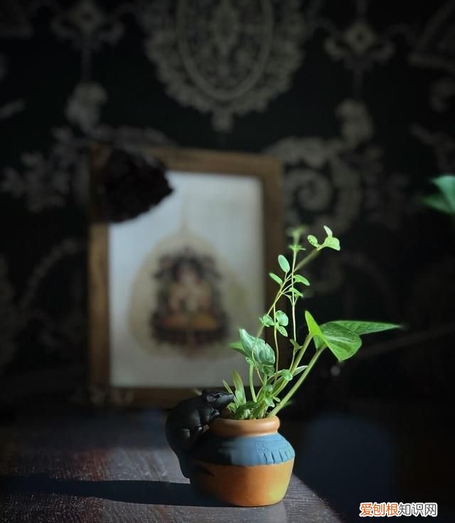 一切淡然深度美文 美文欣赏释然是一种心境