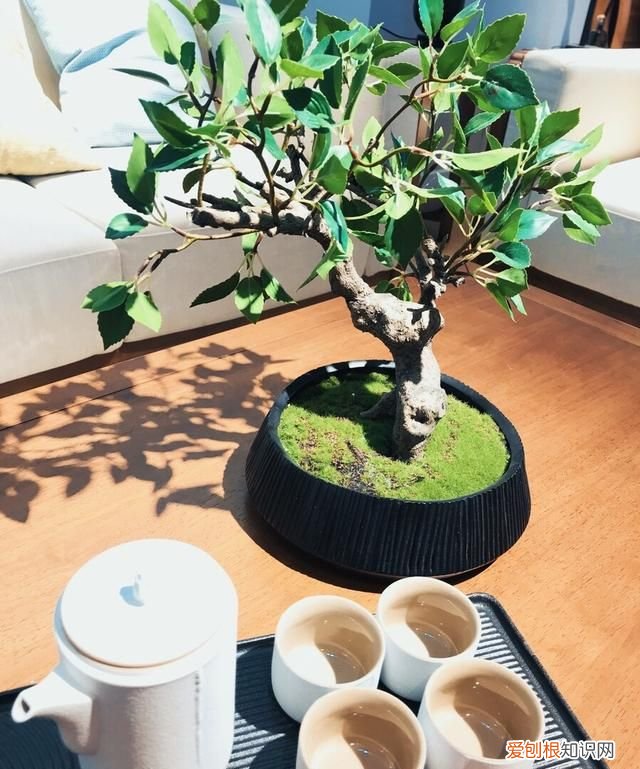 一切淡然深度美文 美文欣赏释然是一种心境