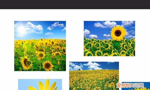 ps如何拓展、填充,ps中如何让一张小图重复铺满整个画布呢