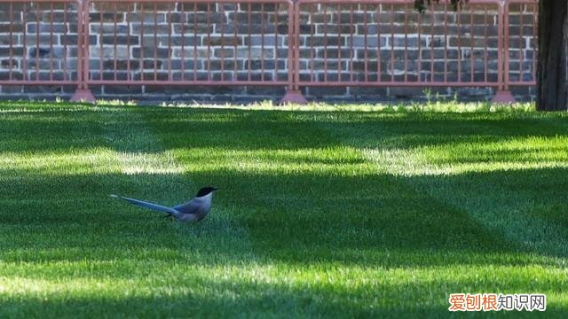 视频时代 Vlog相机应该如何选择